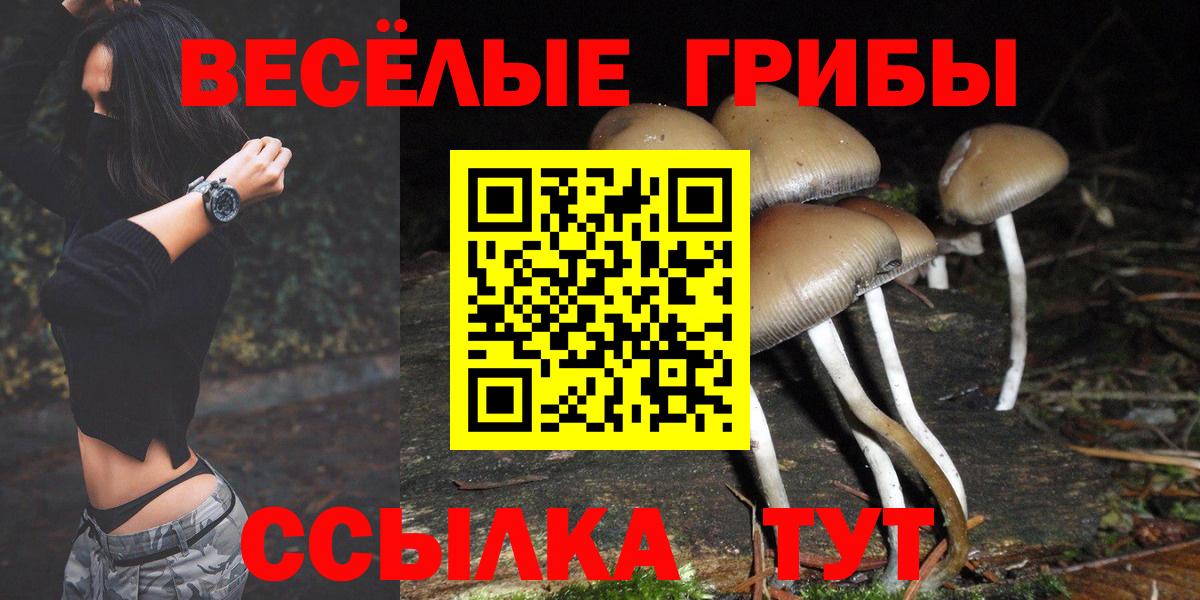 Псилоцибиновые грибы Psilocybine cubensis Волжск